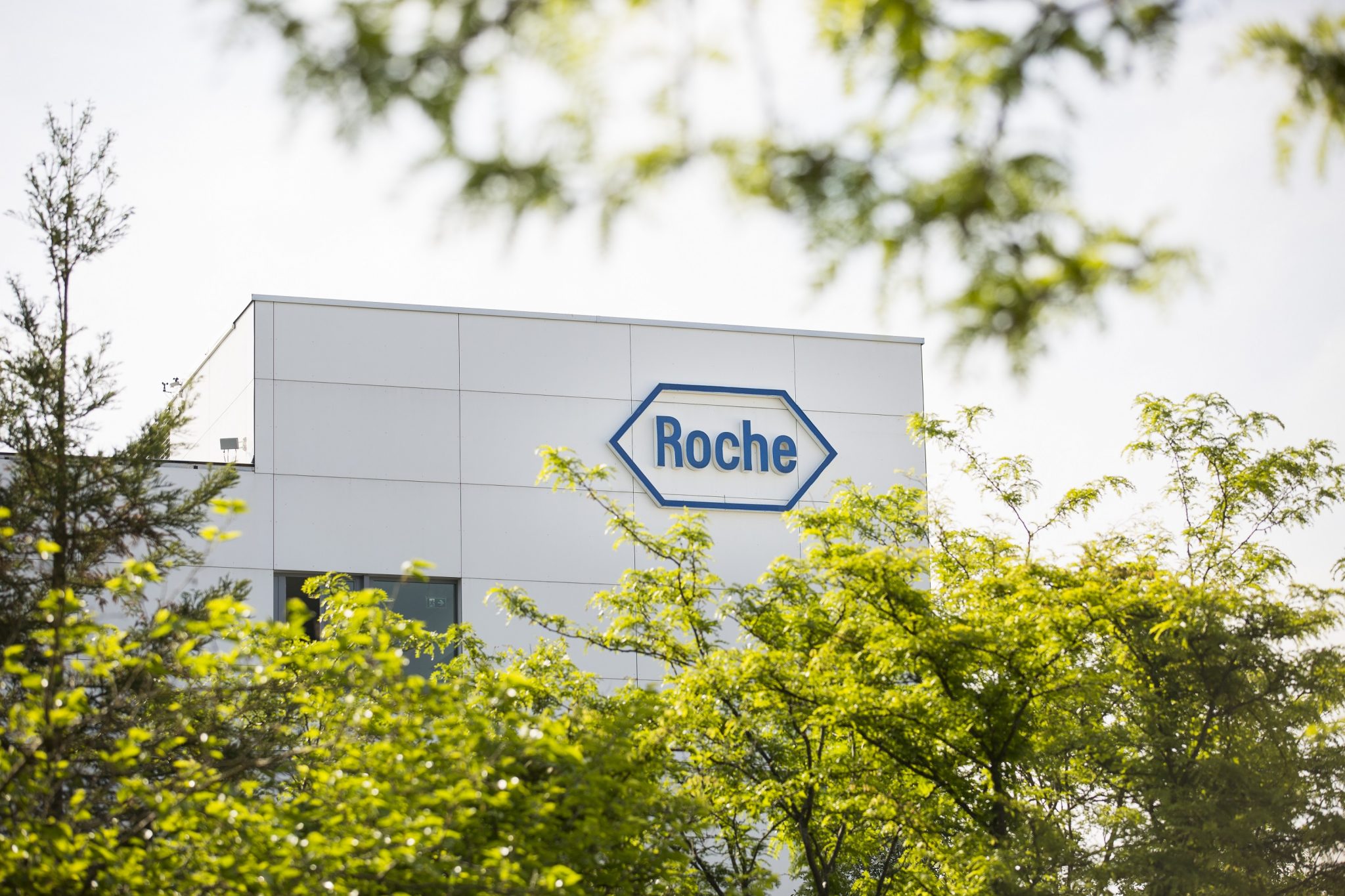 Компания Roche приобрела разработчика диагностических тестов