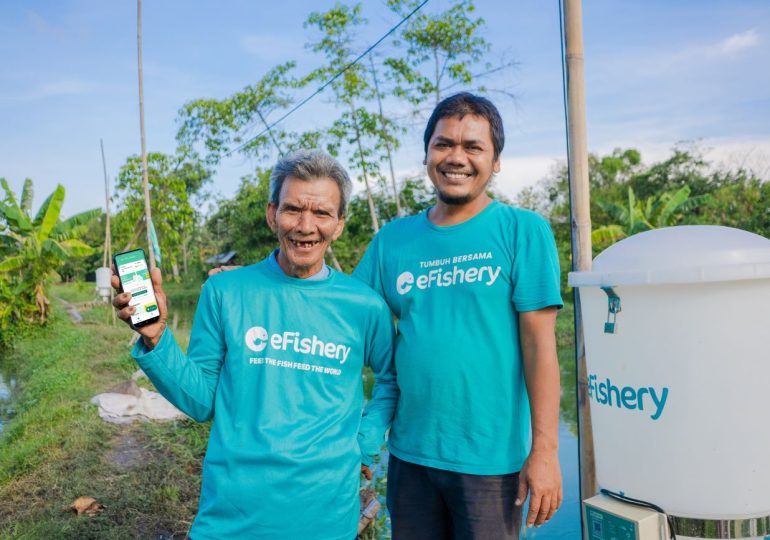 Аквакультурный стартап eFishery из Индонезии стал единорогом